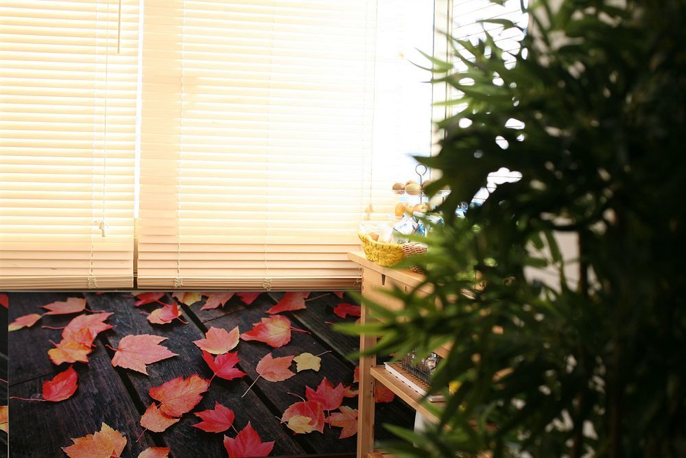 Bamboo Bed and breakfast Roma